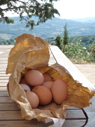 Rosanne's eggs - freshest of the fresh.